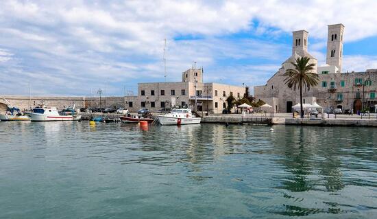 My EVS In MOLFeTTA