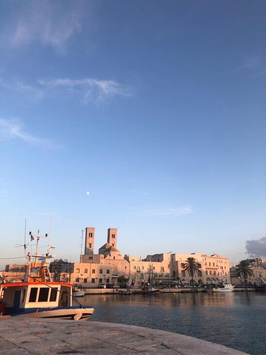 volunteering in molfetta