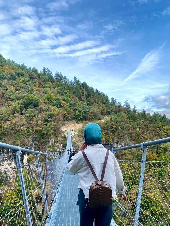 Embracing the Journey